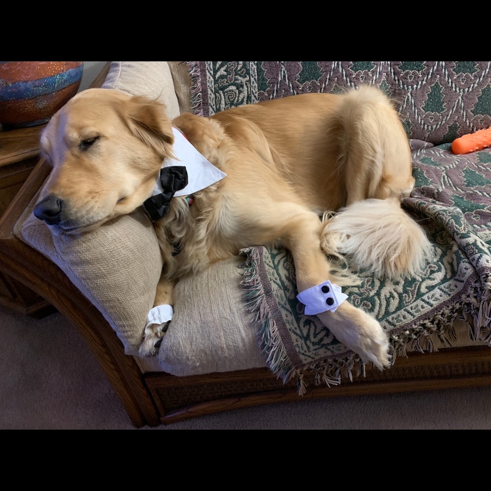 Meet your Posher, Mary m